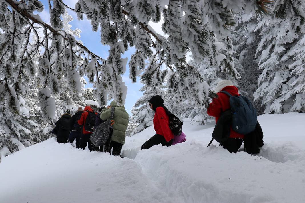 Burası Norveç değil, Türkiye! Karadeniz’in şirin ilinden kartpostallık manzaralar 17